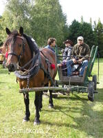 koňské spřežení p. Pilíšek