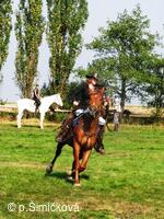 jezdci na koních